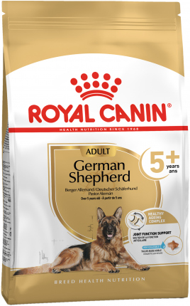 German Shepard Ageing 5+